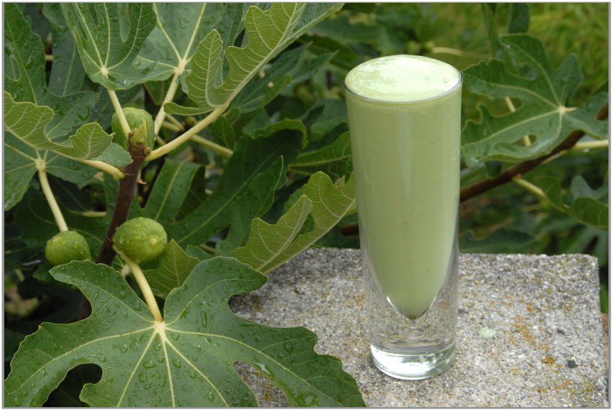 matcha balcsi