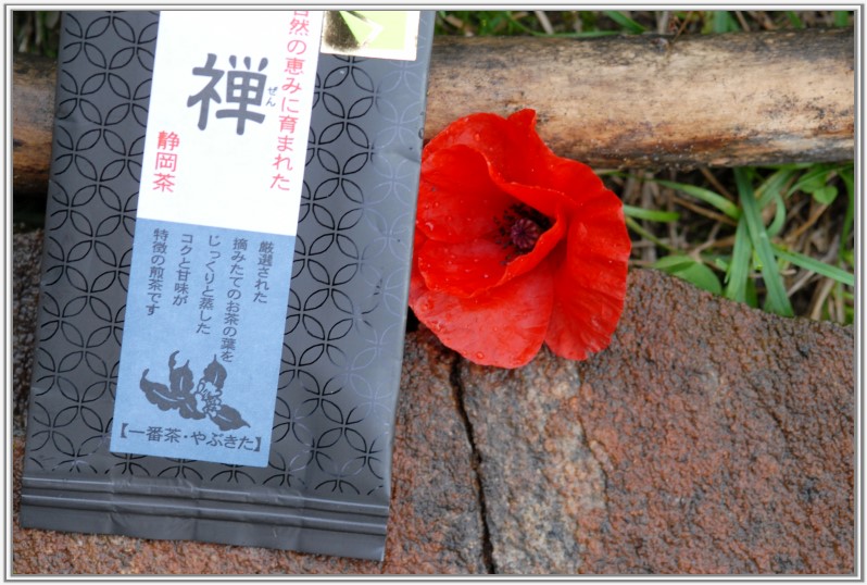 shizuoka pipacs