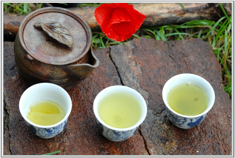 shizuoka shincha 08 