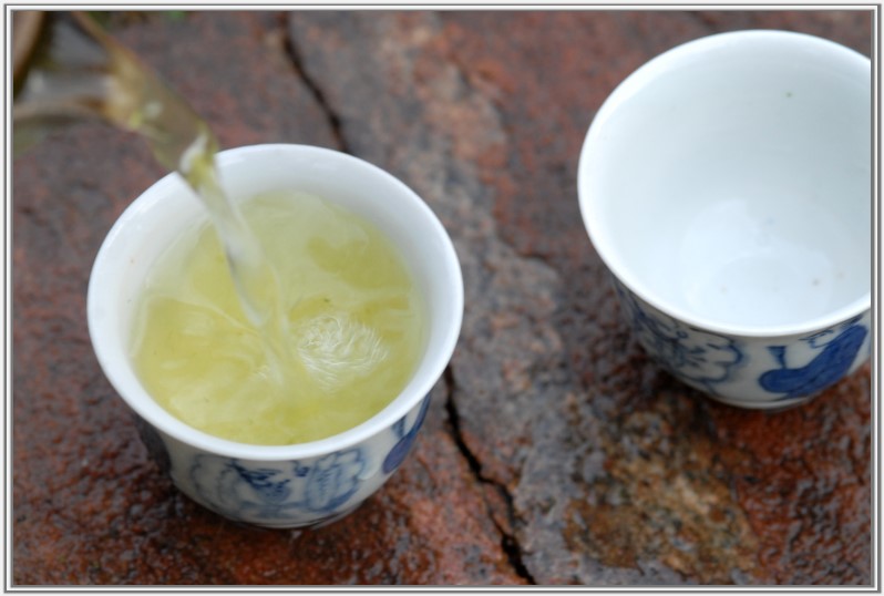 shizuoka shincha cups